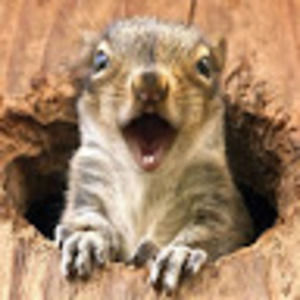 Meet your Posher, Carrie